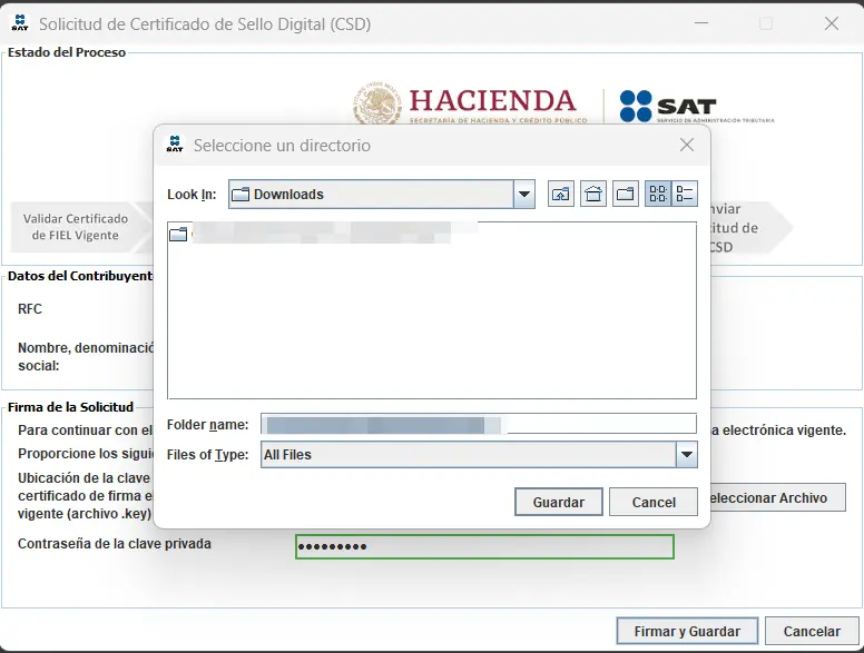 Pantalla de descarga de los archivos .sdg y .key del CSD
